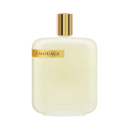 ادوپرفیوم لایبری اوپوس 2 آمواژ | Amouage The Library Collection Opus II EDP