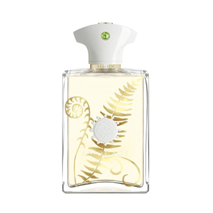 ادوپرفیوم برکن آمواژ | Amouage Bracken EDP