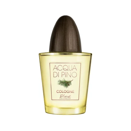عطر مردانه آکوا دی پینو کلن | PINO SILVESTRE Acqua di Pino Cologne